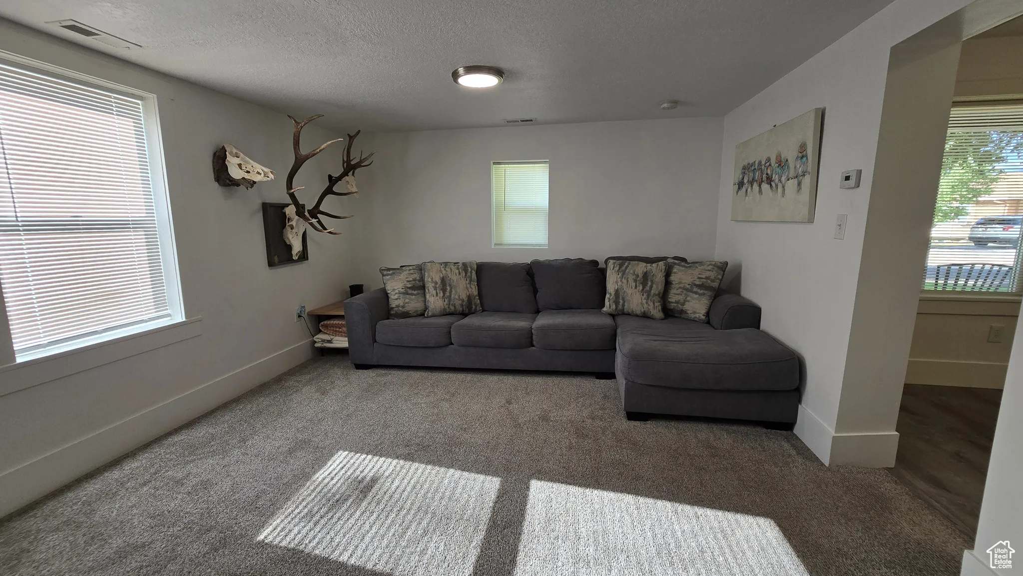 Carpeted living room with a textured ceiling and baseboards