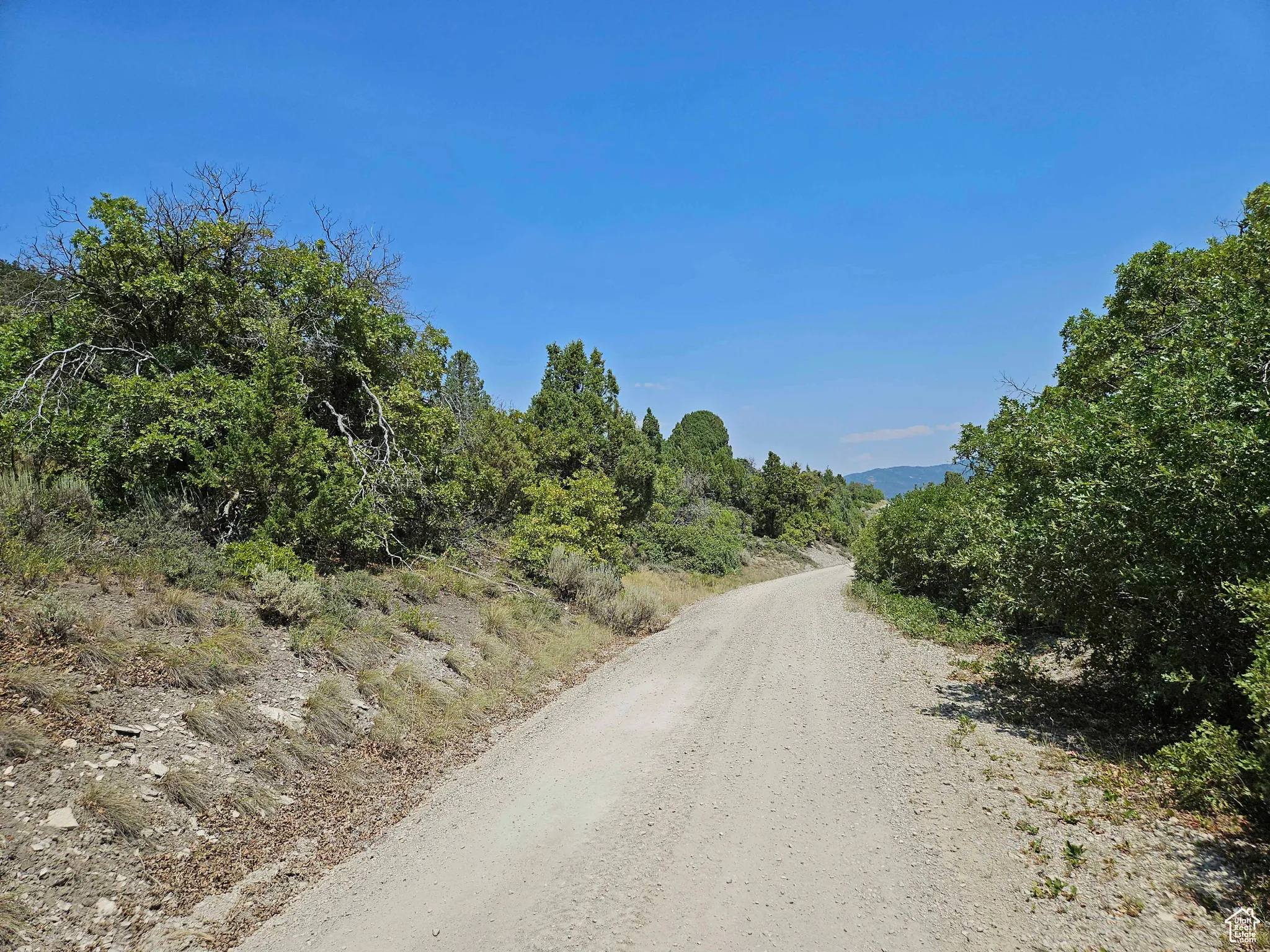 View of dirt / gravel road