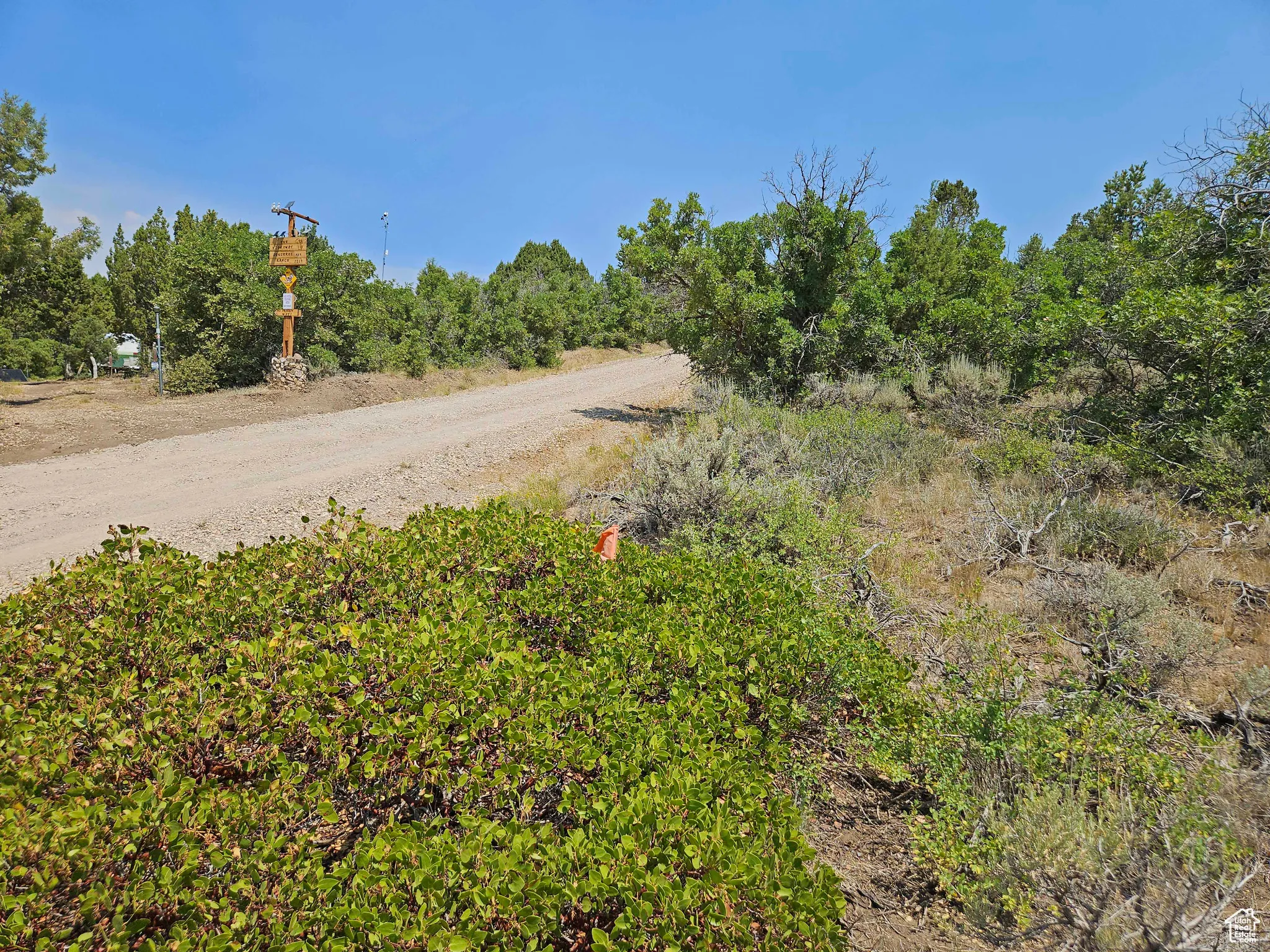 View of dirt / gravel road