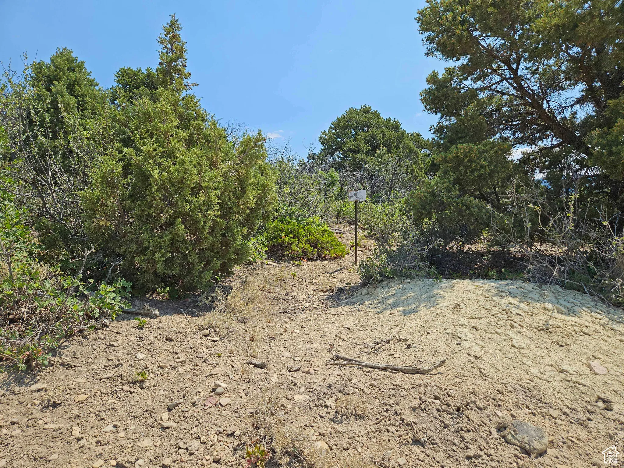 View of undeveloped land