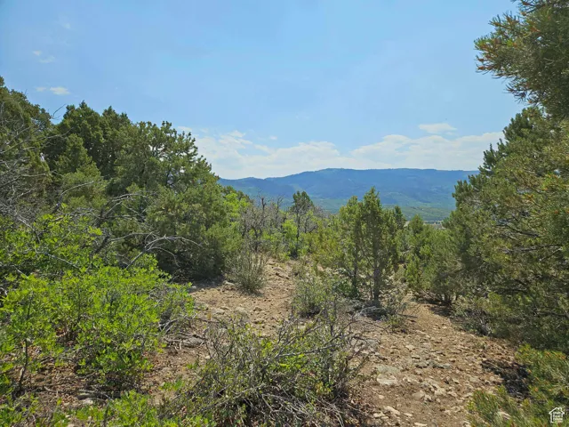 View of mountain backdrop featuring a forest