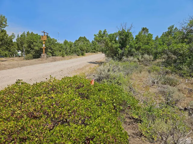 View of dirt / gravel road