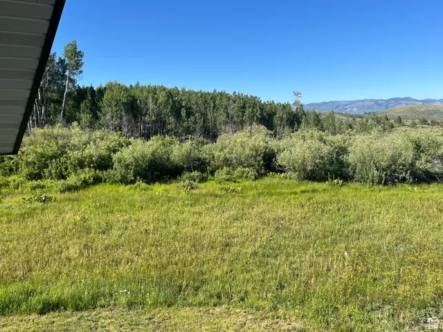 View of mountain background