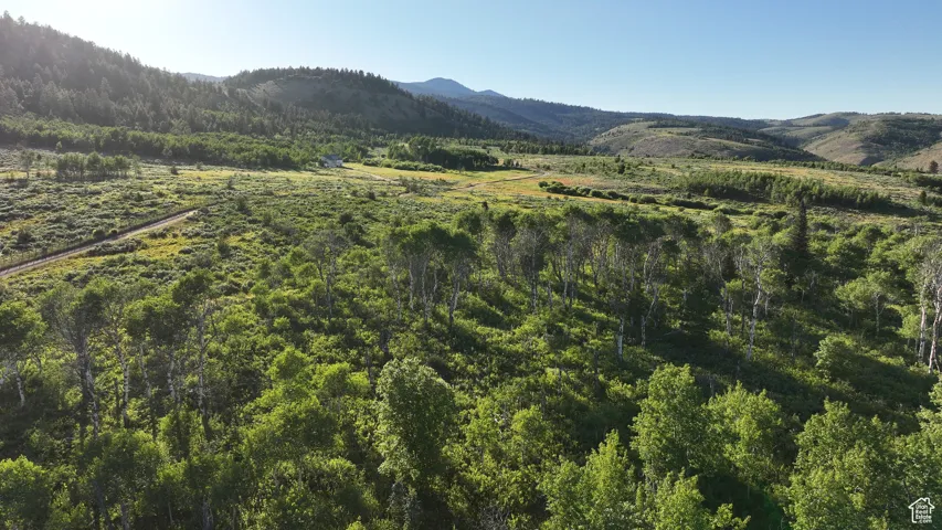 View of mountain background with a heavily wooded area
