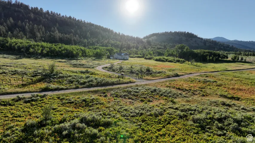 Mountain view with rural landscape and a heavily wooded area