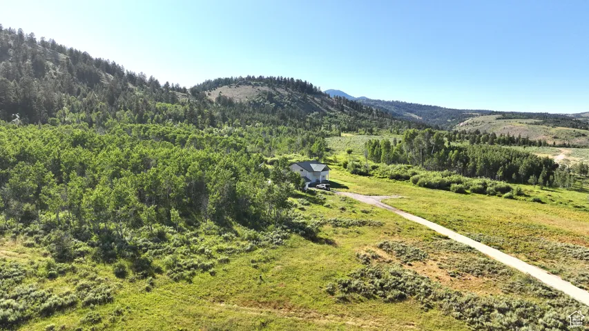 View of mountain background featuring a heavily wooded area