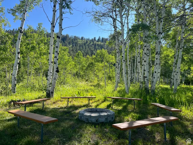 View of community featuring an outdoor fire pit and a wooded view