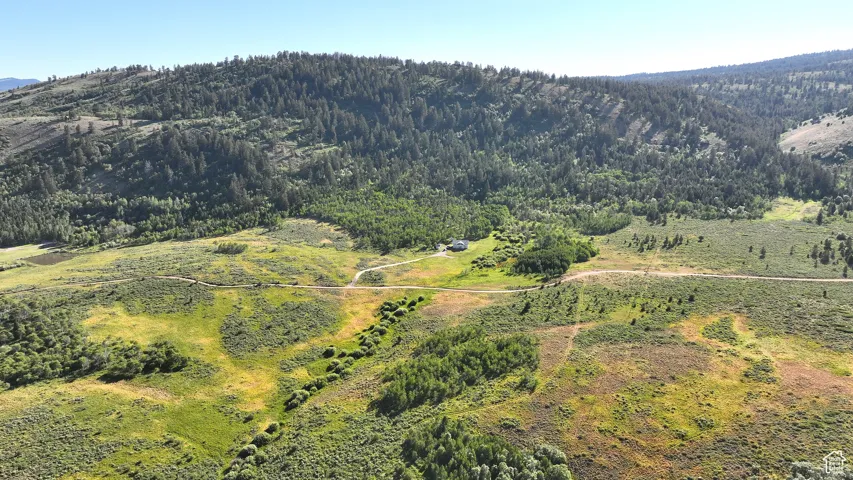View of mountain backdrop with a heavily wooded area