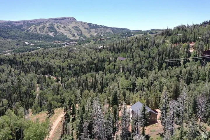 Mountain view with a heavily wooded area