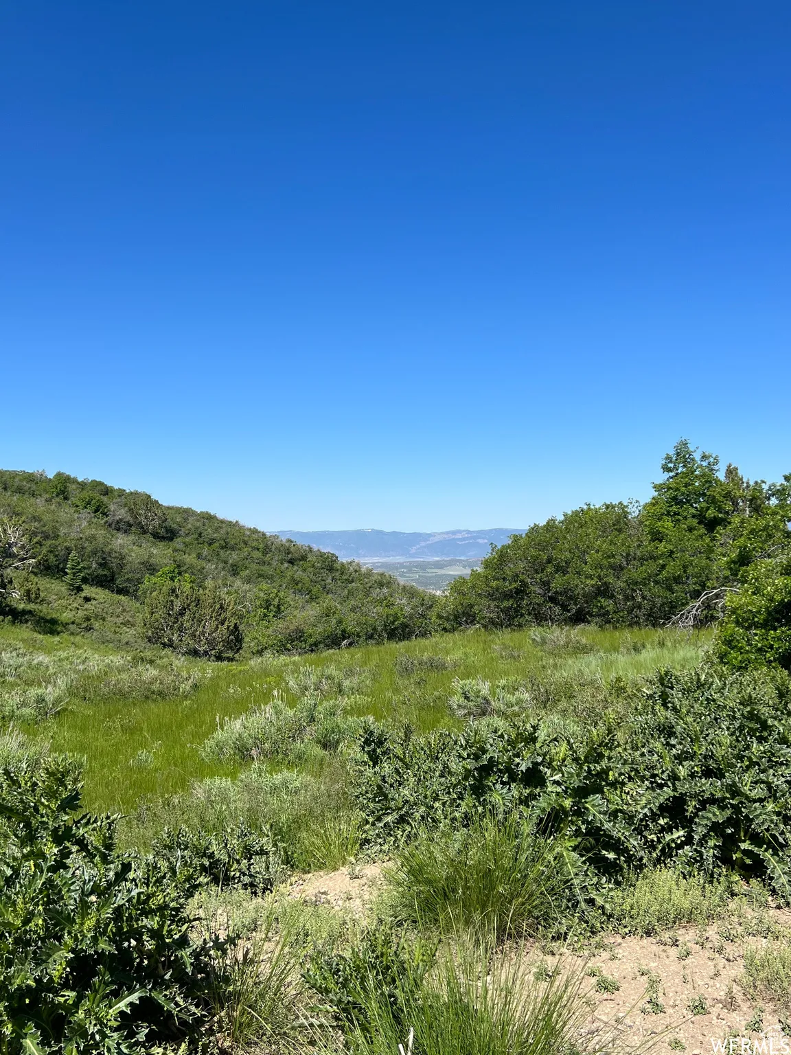 View of mountain background