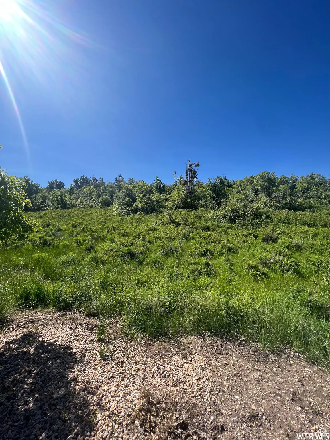 View of nature