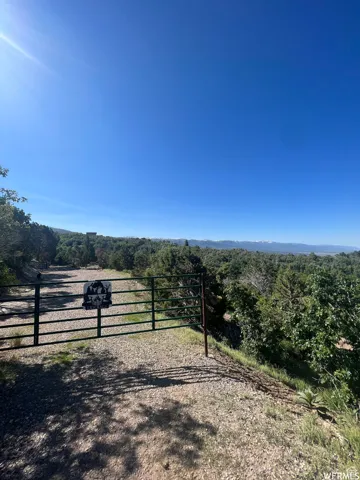 View of yard with a forest view and a view of countryside