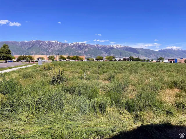 View of mountain background