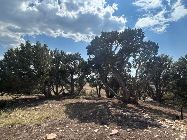 View of undeveloped land