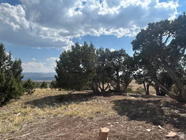 View of undeveloped land