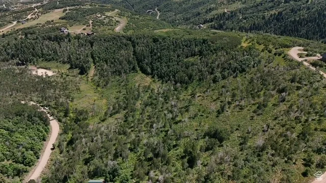 View of property location with a forest