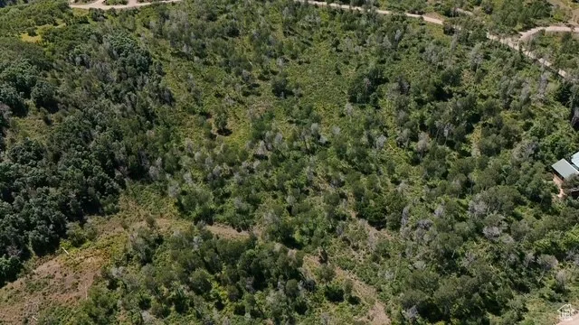 Aerial overview of property's location