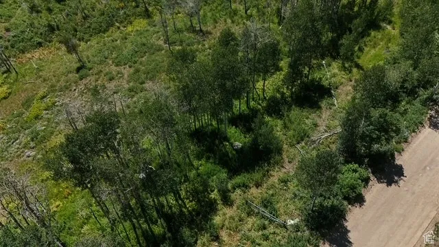 Aerial overview of property's location