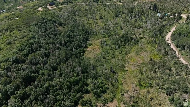 Aerial overview of property's location with a forest