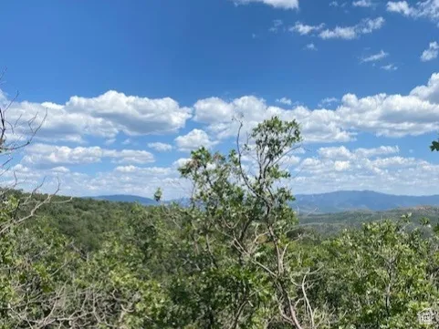 View of mountain backdrop with a forest