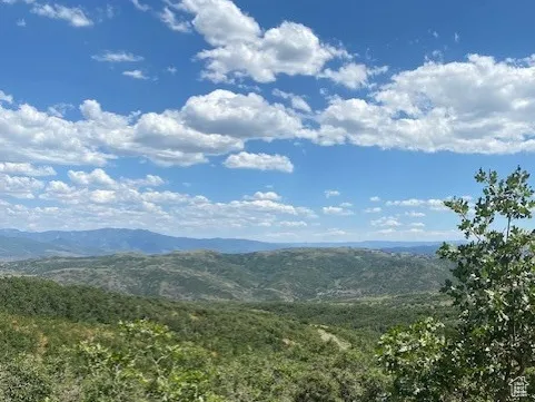 View of mountain background featuring a forest