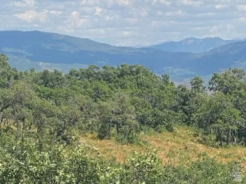 Mountain view featuring a heavily wooded area