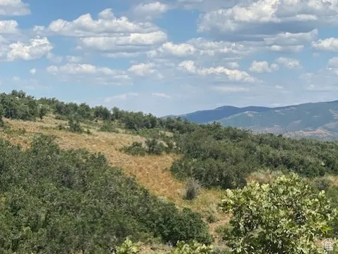 View of mountain backdrop with a forest