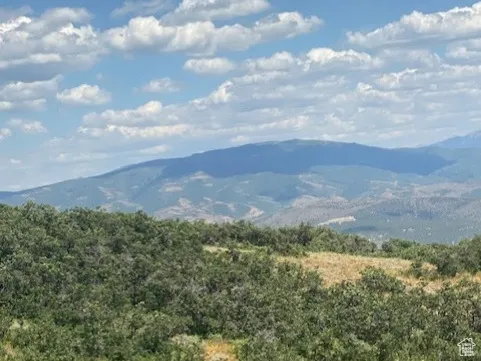 Mountain view with a heavily wooded area