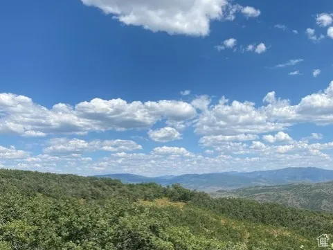 Mountain view featuring a forest