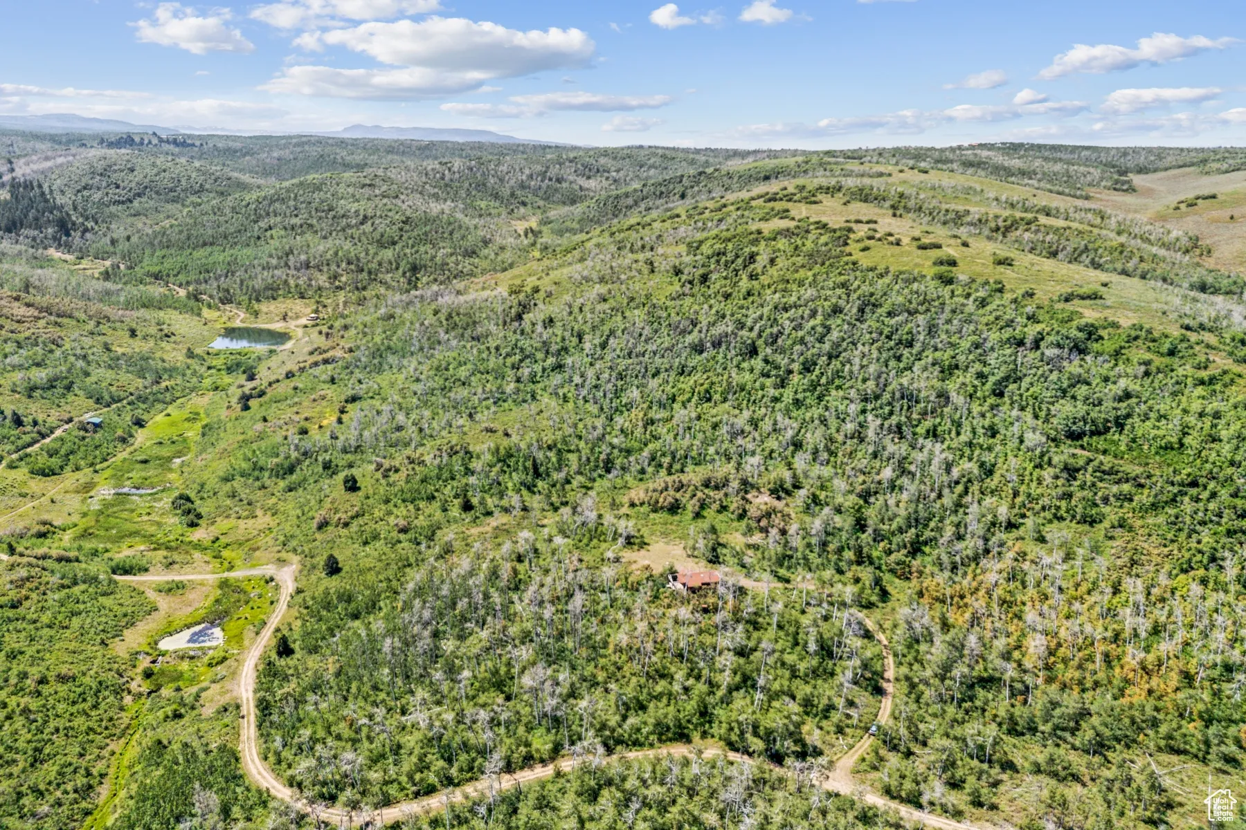 Aerial view of a mountainous background and a forest