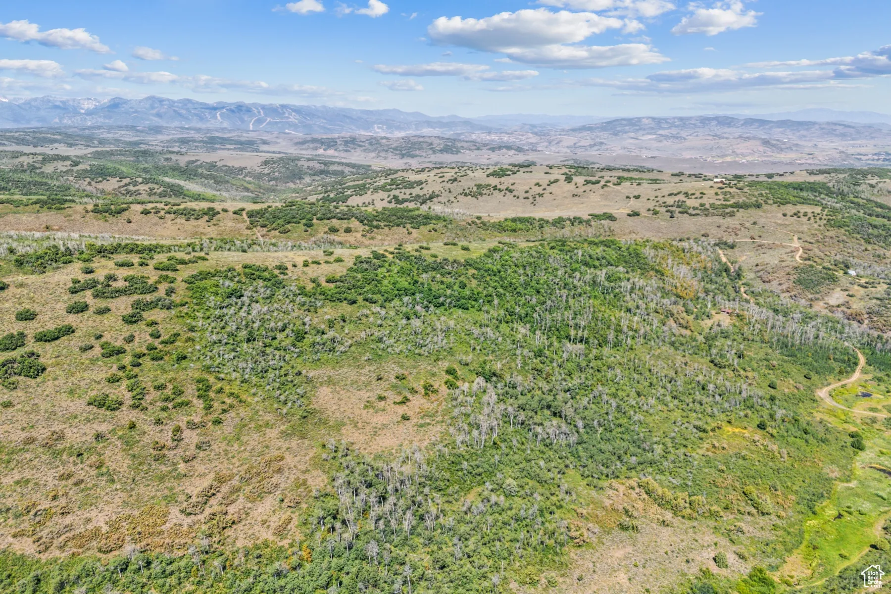 Aerial view of sparsely populated area featuring mountains