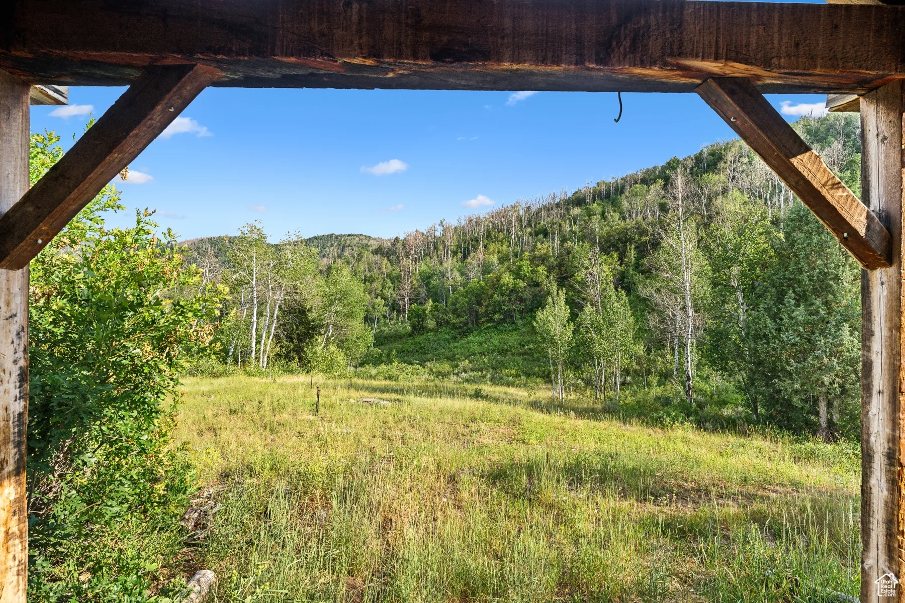View of yard featuring a view of trees