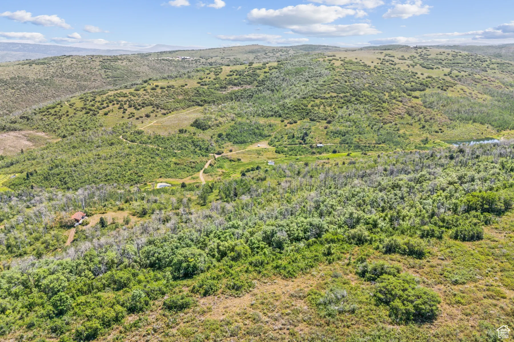 Drone / aerial view of a mountain backdrop and a forest