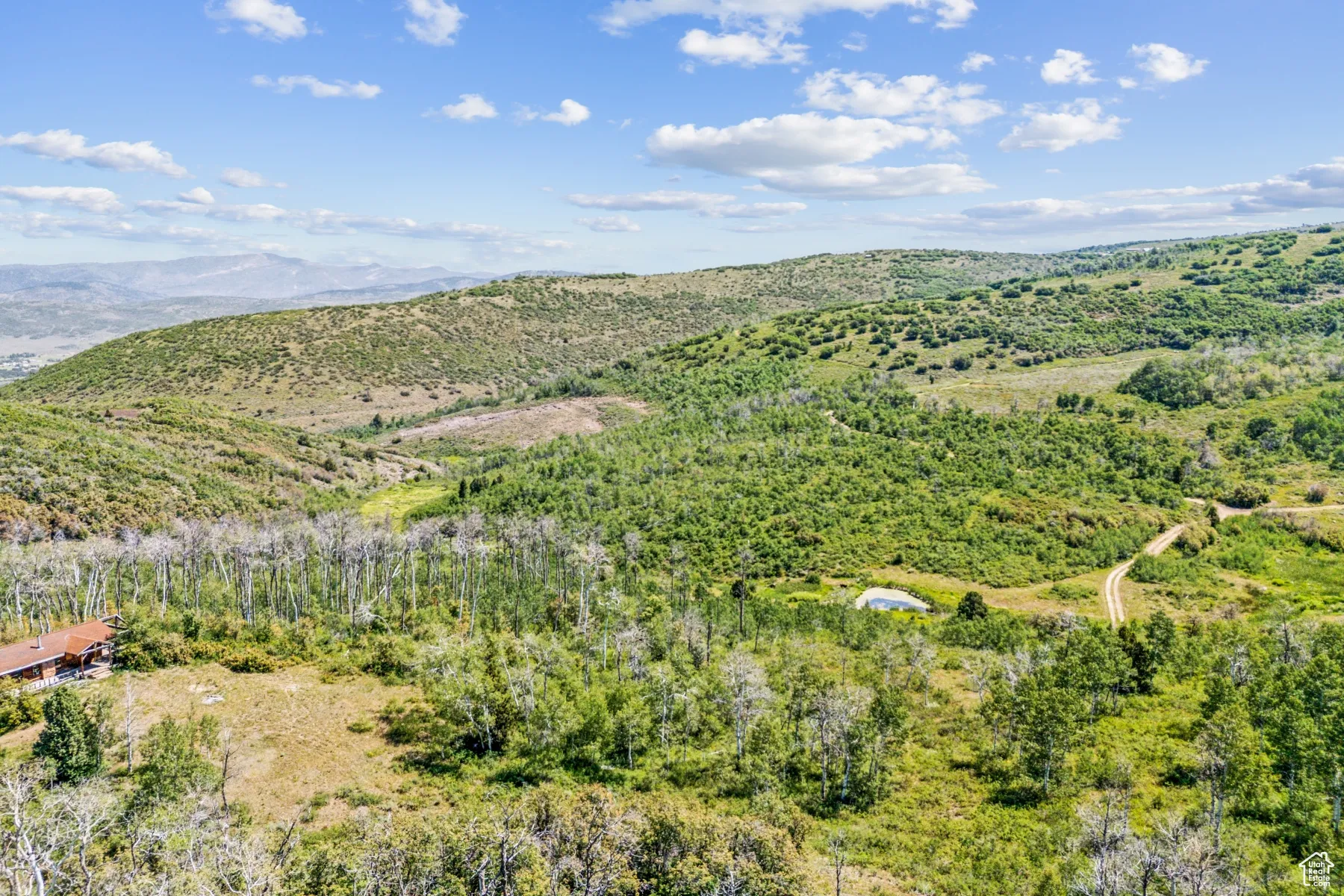 Drone / aerial view of a mountain backdrop