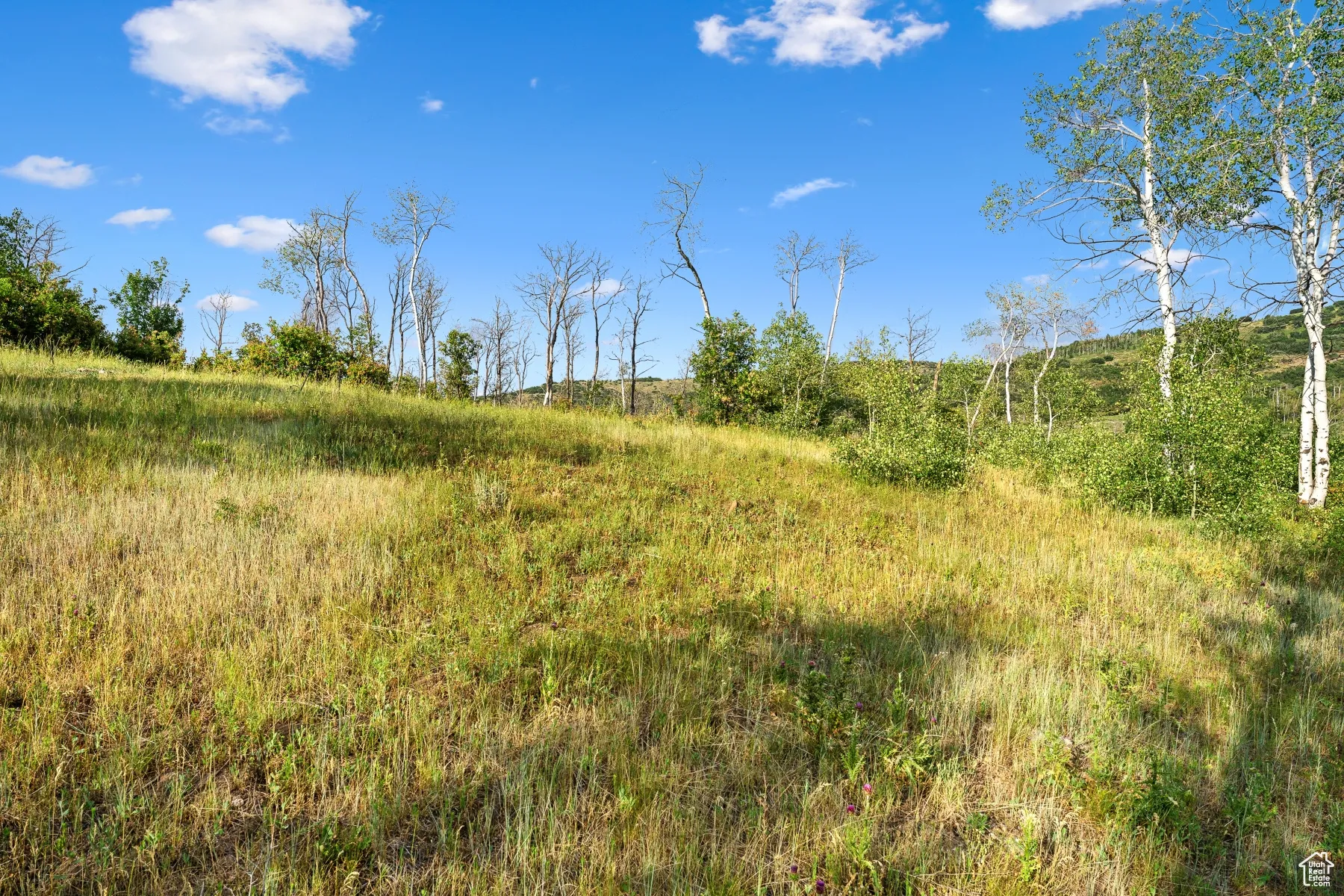 View of undeveloped land with rural landscape