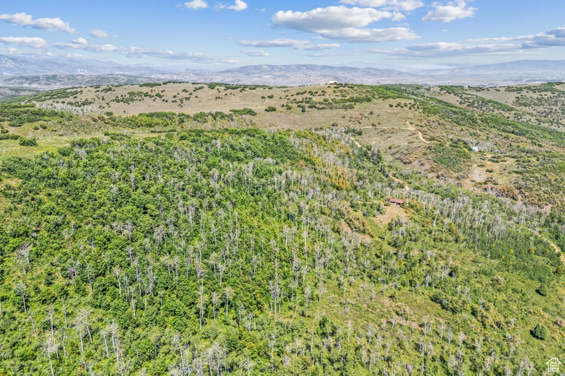 Aerial view of a mountainous background