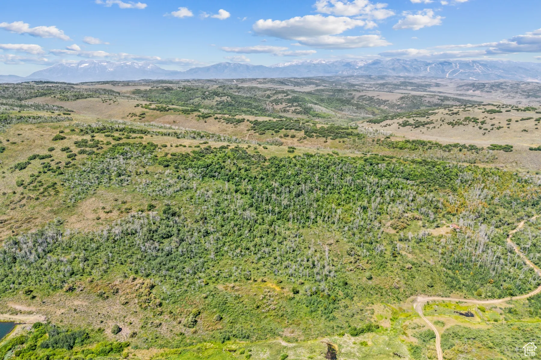 Aerial view of mountains