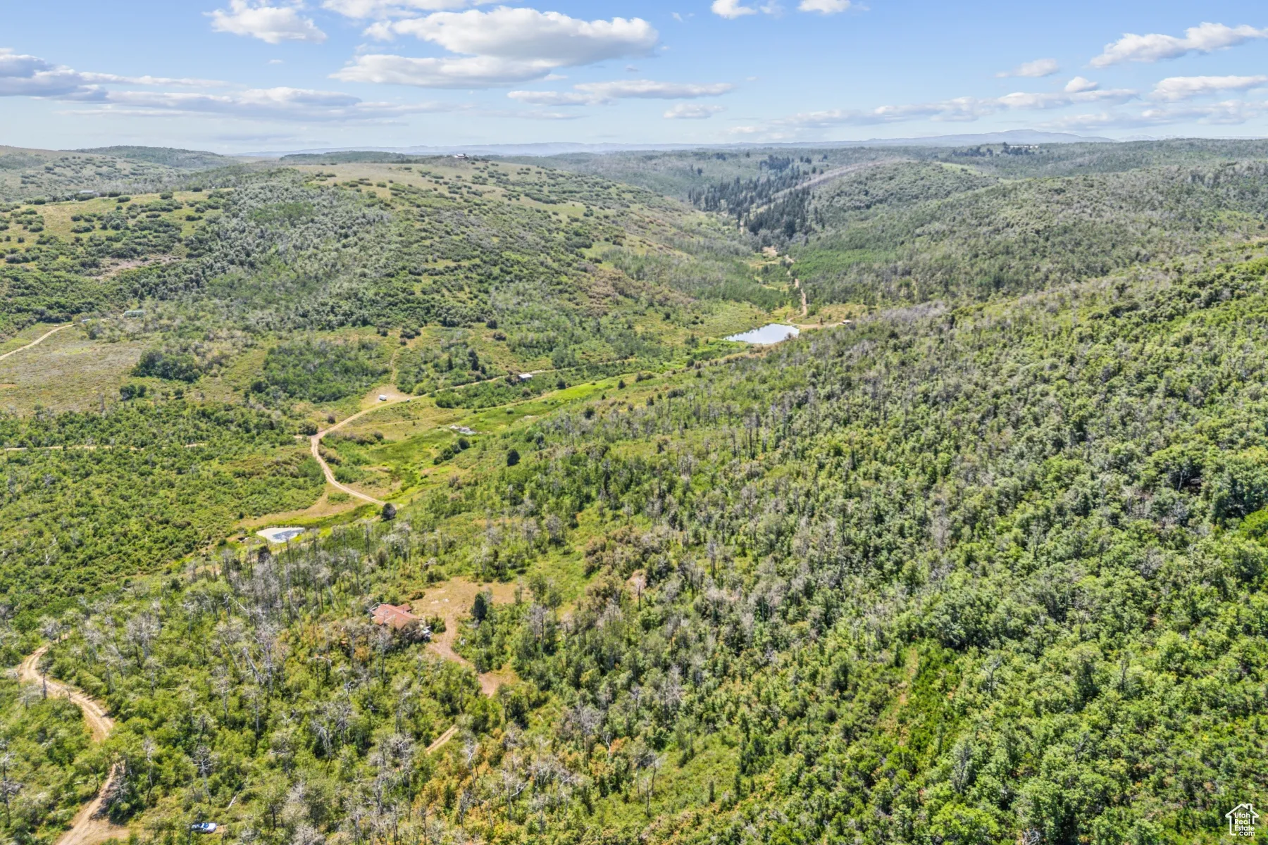 Drone / aerial view of a heavily wooded area and a mountain backdrop