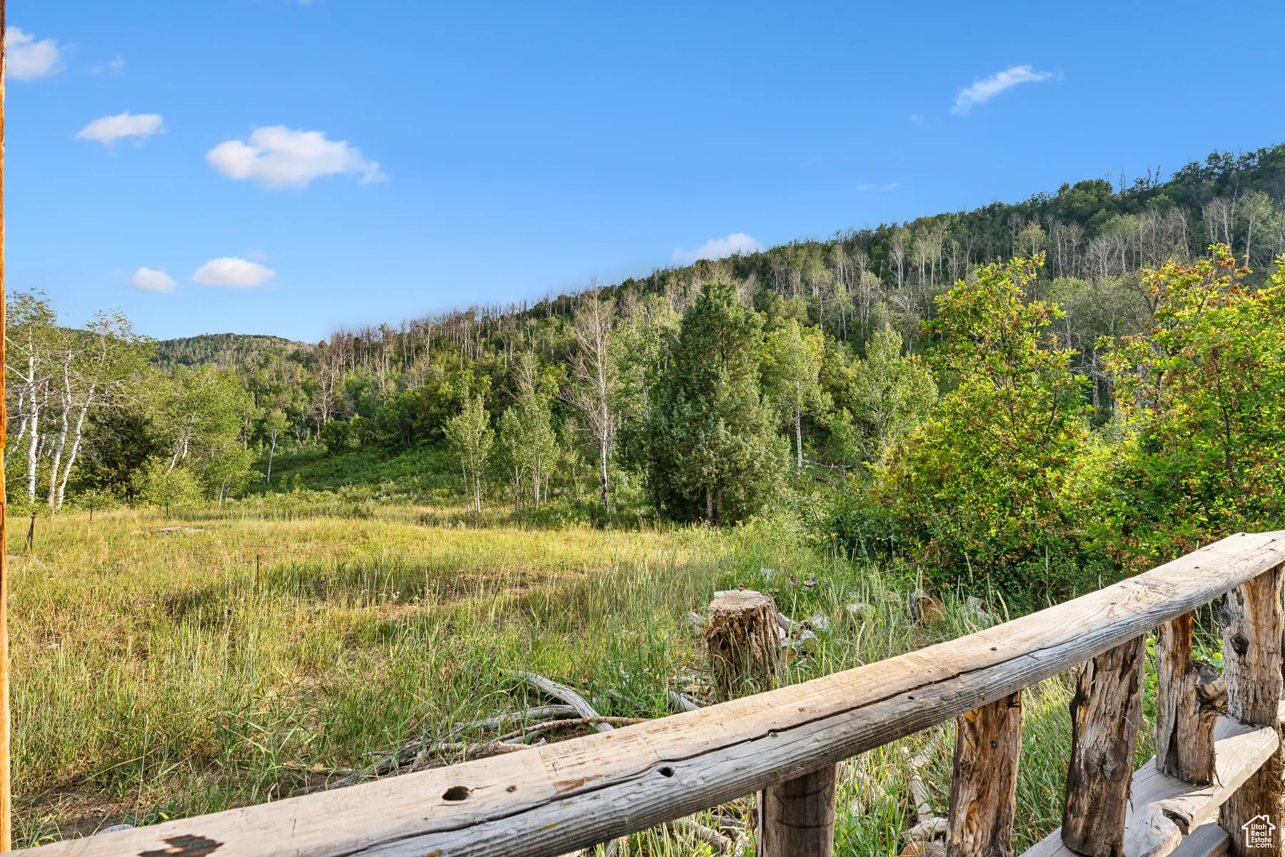 View of mountain background featuring a heavily wooded area