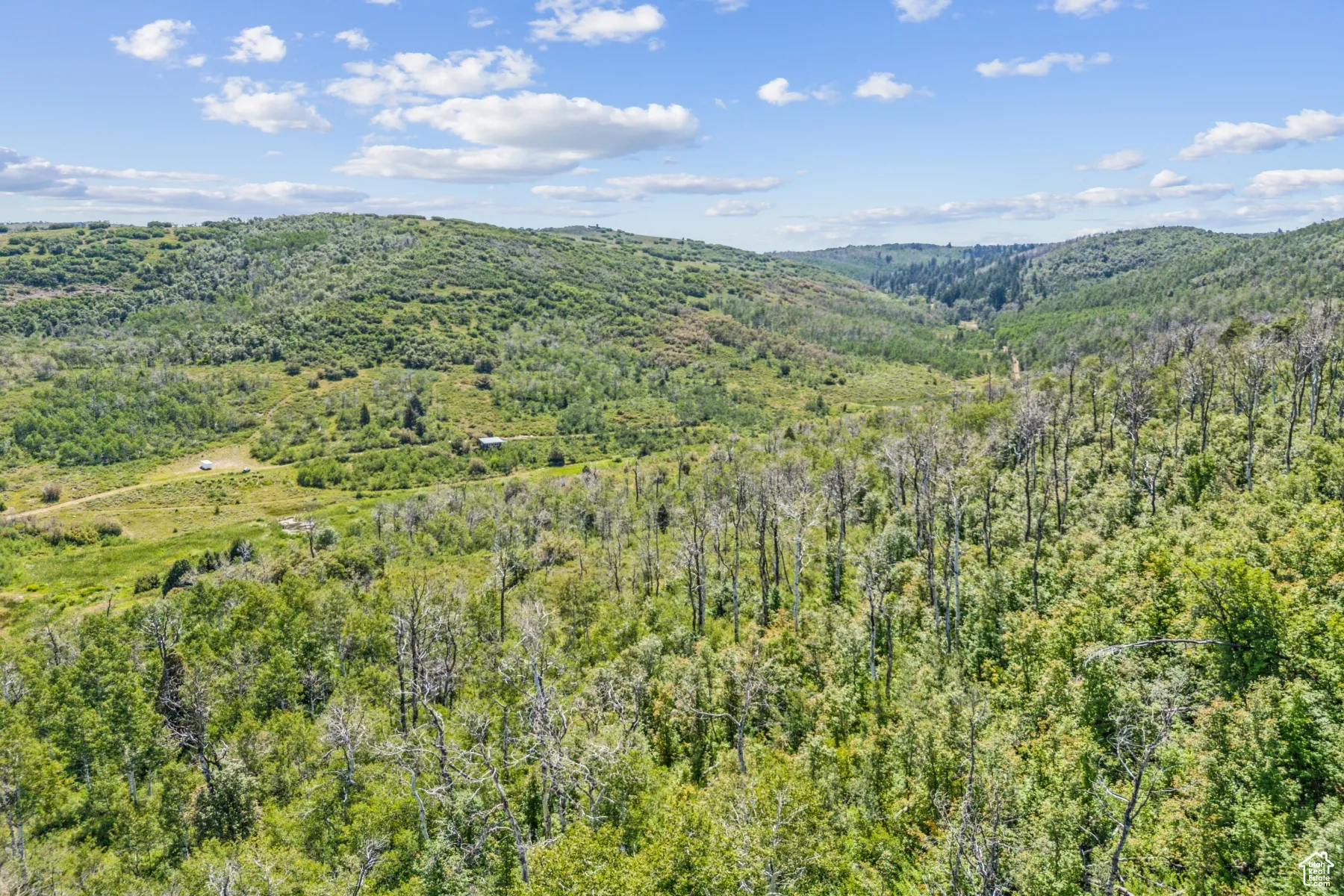 View of mountain backdrop featuring a forest