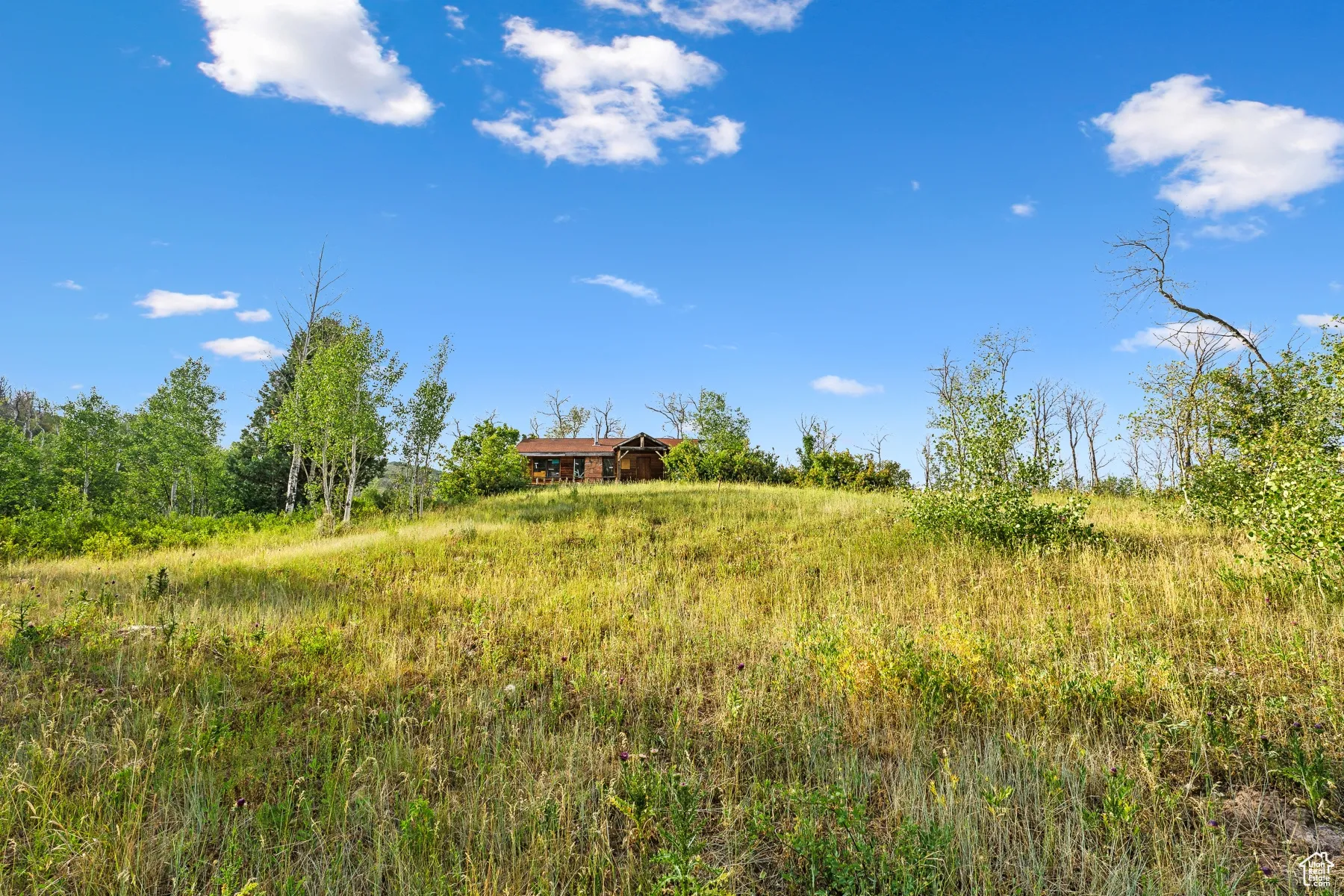 View of undeveloped land featuring rural landscape