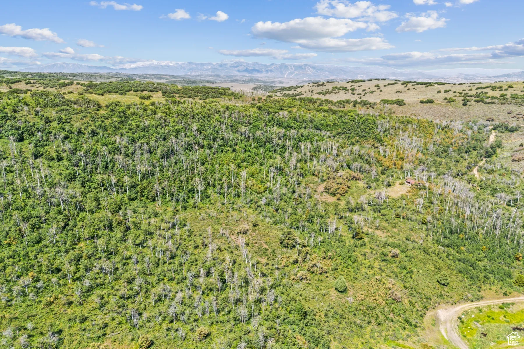 Drone / aerial view of mountains