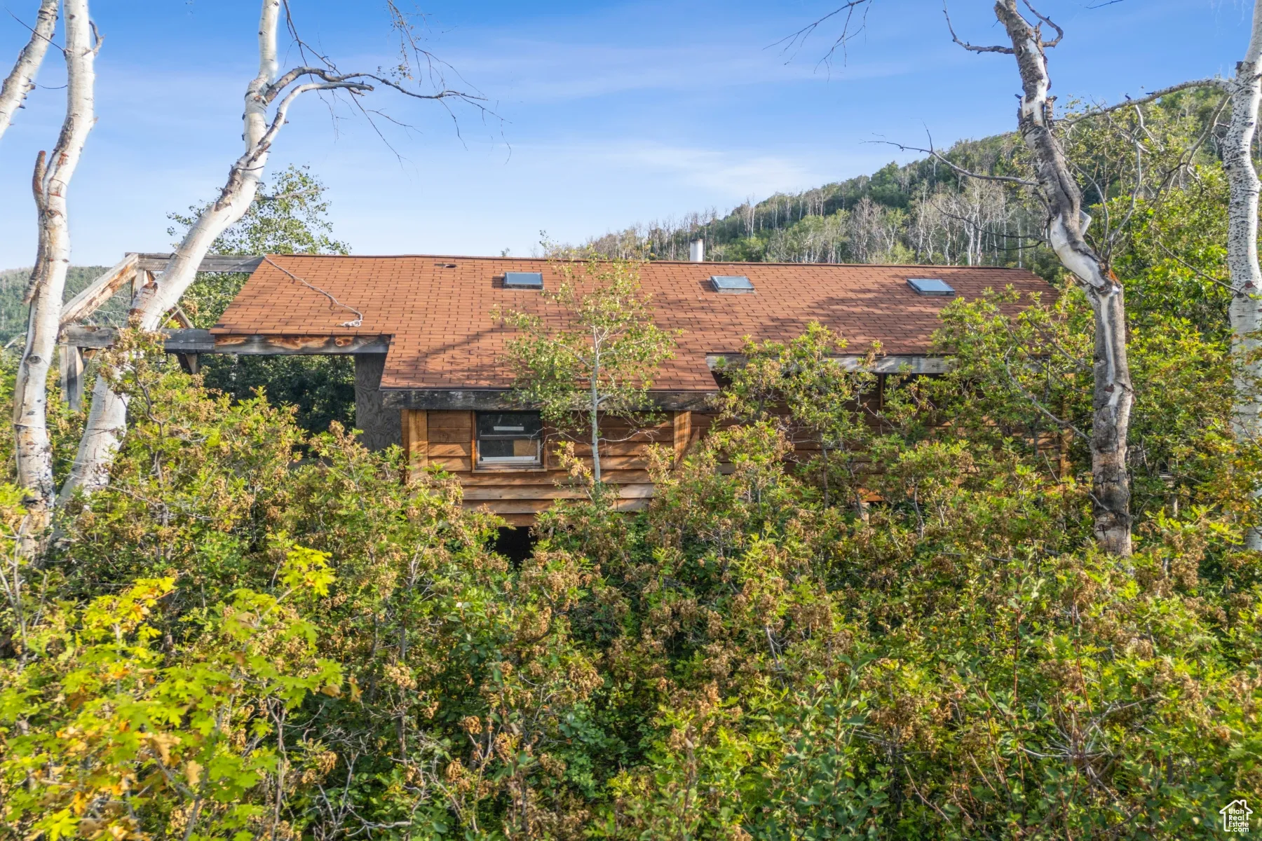 Back of house featuring a shingled roof