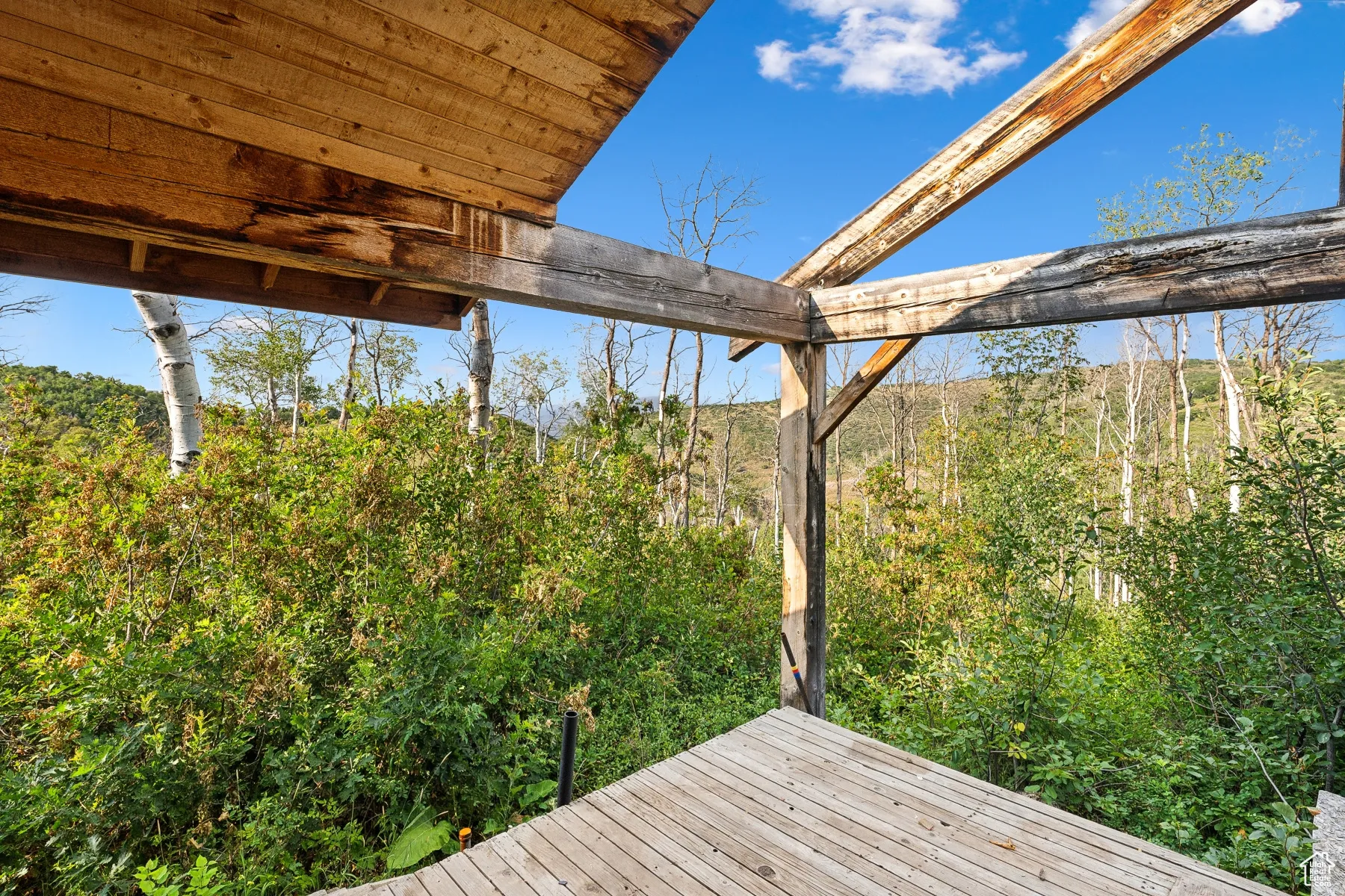 View of deck