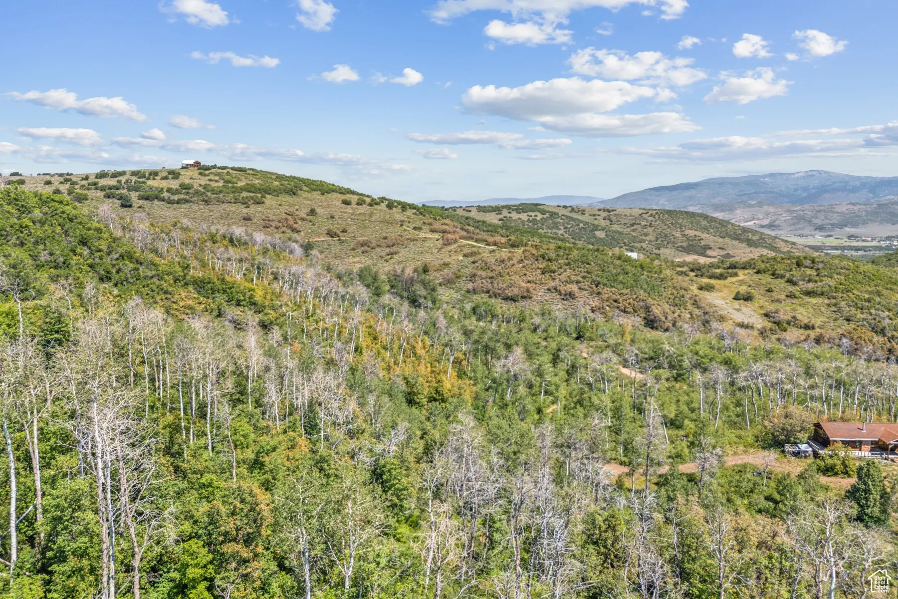 View of mountain background