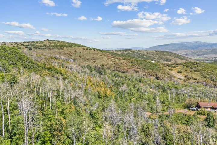 View of mountain background