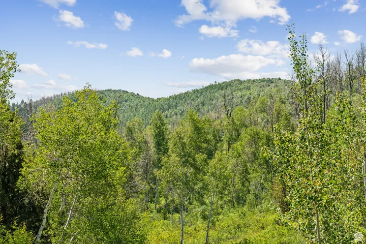 Mountain view featuring a forest