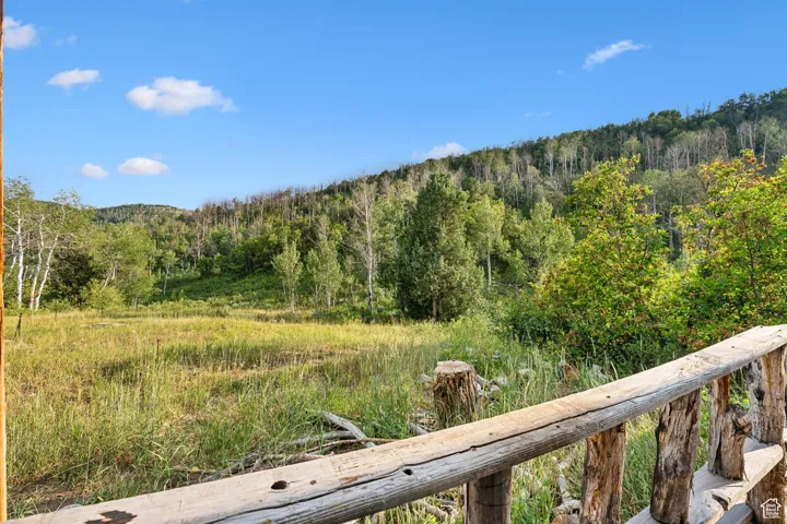 View of mountain background featuring a heavily wooded area