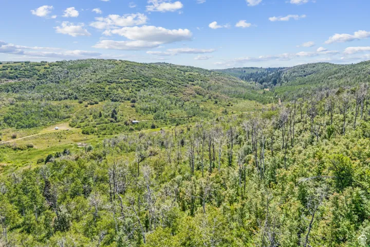 View of mountain backdrop featuring a forest