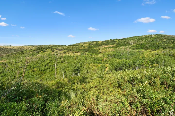View of wooded area